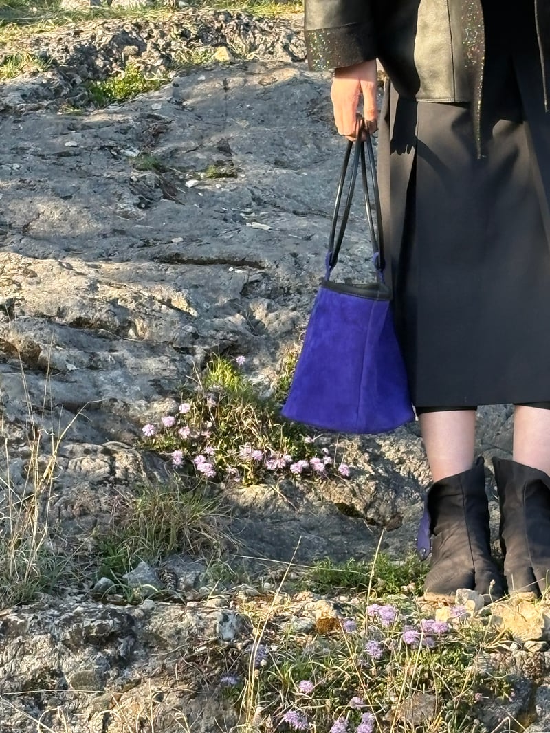 Roksanda Bag