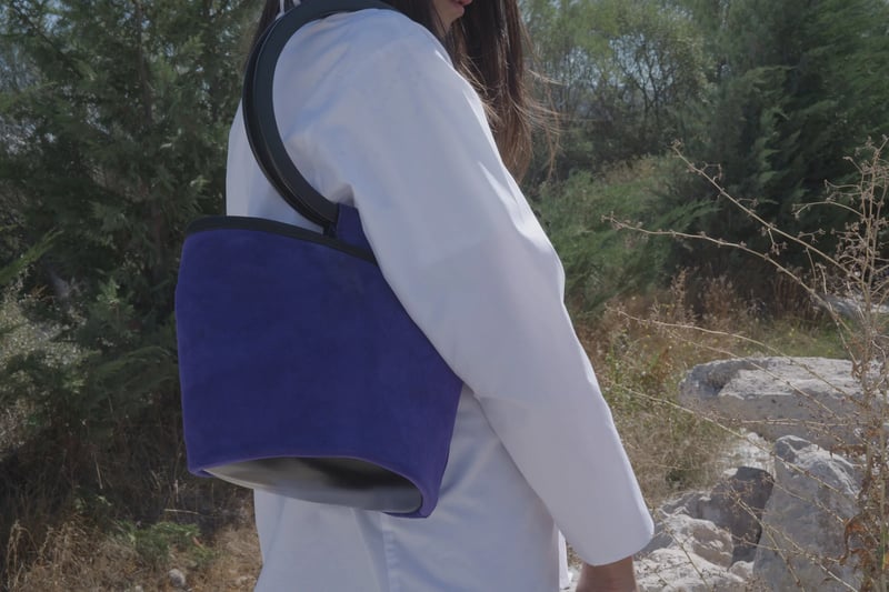 Roksanda Bag